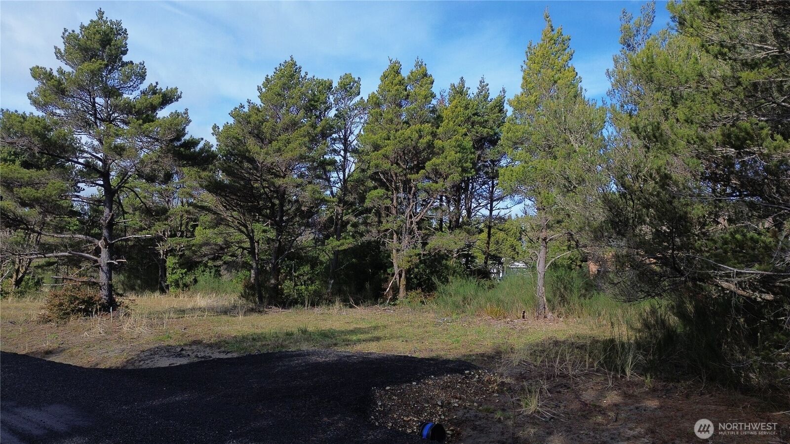 Property Photo:  1240  Sunset Beach Lane  WA 98595 