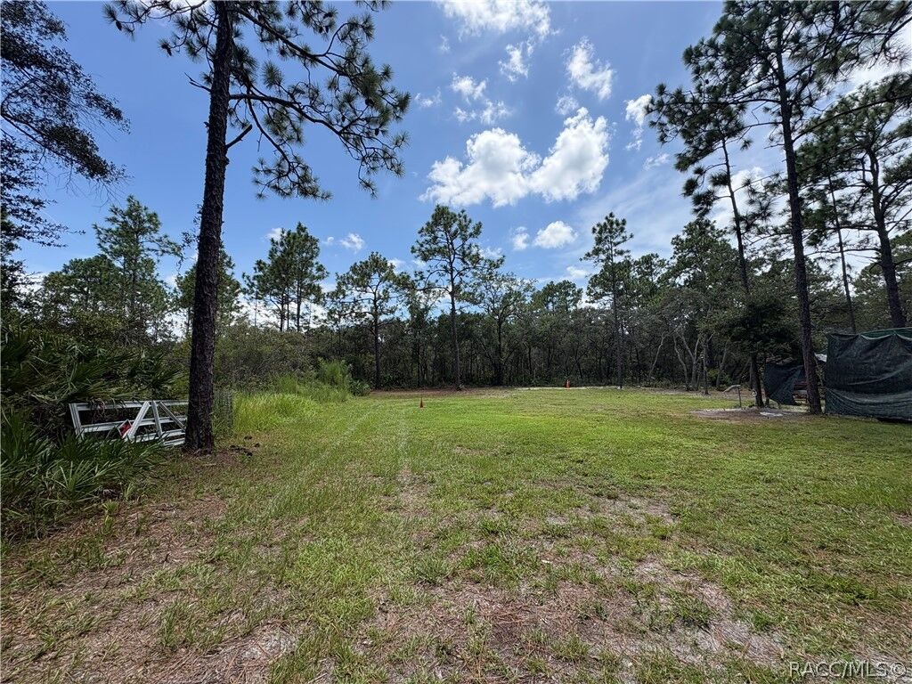 Property Photo:  394 N Florene Point  FL 34429 
