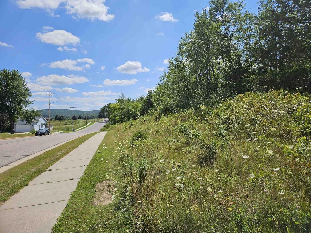 Property Photo: 4.78 Ac Waldo Street WI 53913