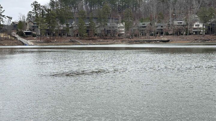 Property Photo:  Lot 8 Co Rd 106  AL 35098 