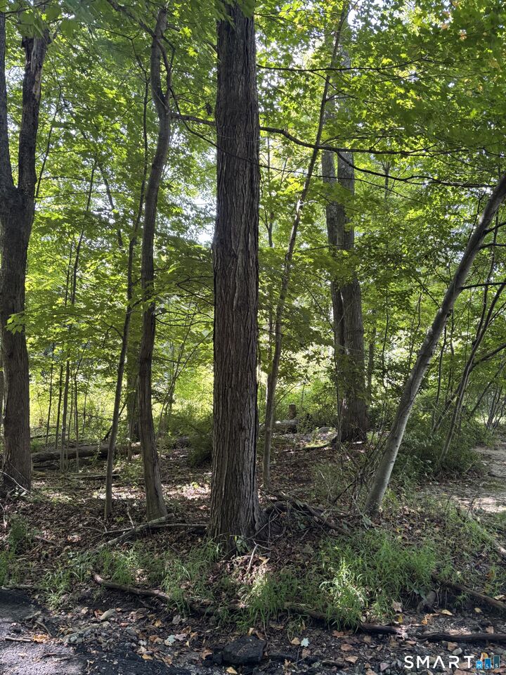 Property Photo: 70 Old Good Hill Rd Road CT 06478