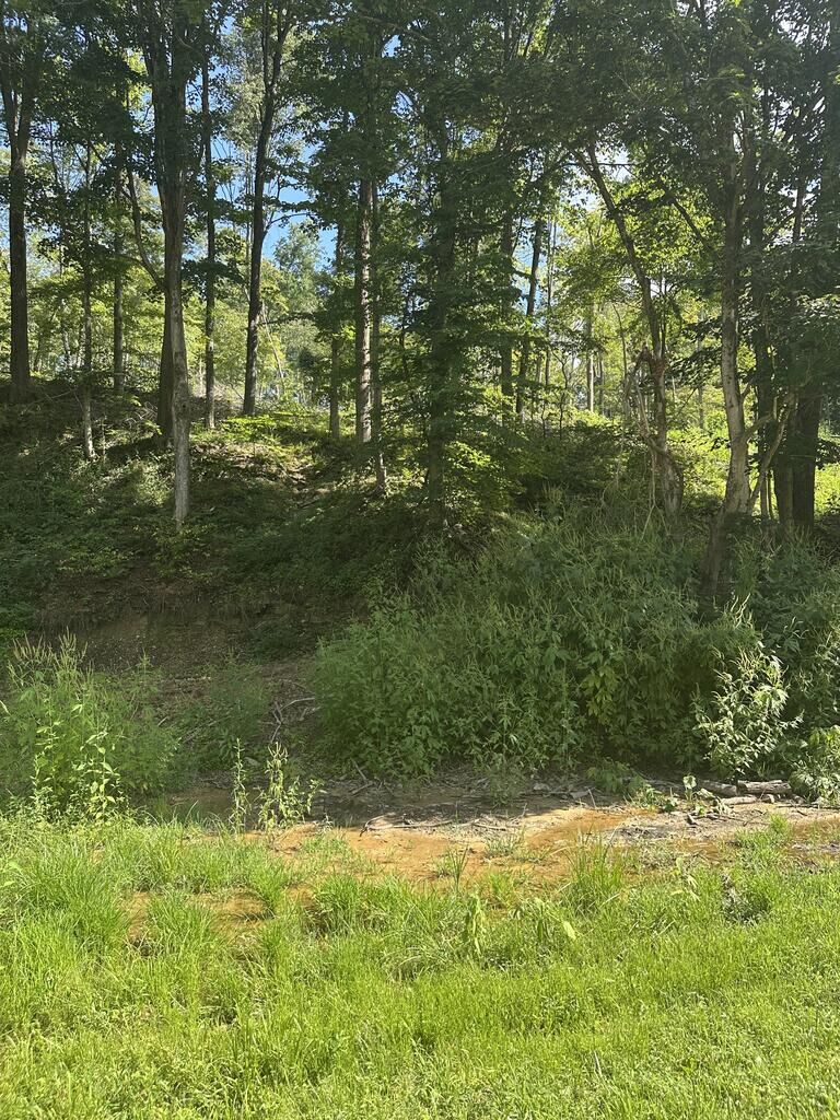 Property Photo:  0 Pleasant Hill Road  OH 45690 