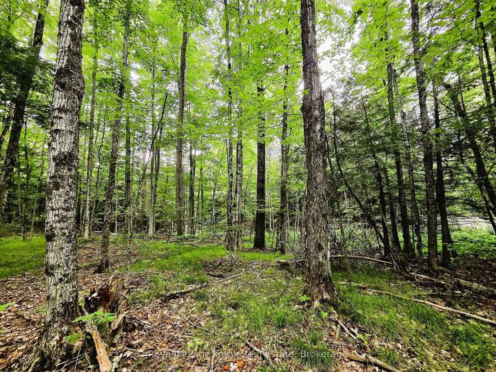 Property Photo:  0 North Rusaw Road  ON K0L 1A0 