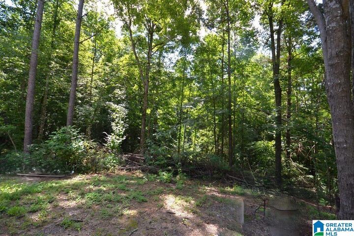 Property Photo: 659 County Road 935 AL 35053