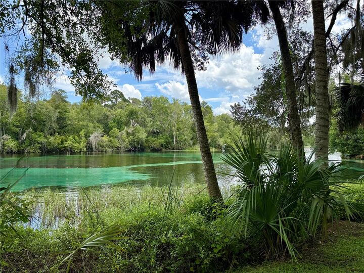 Property Photo:  SW 205th Circle  FL 34431 