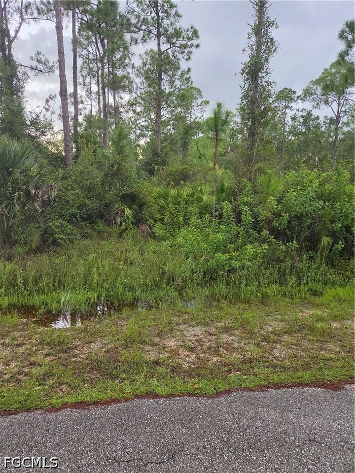 Property Photo:  2310 Truman Avenue  FL 33920 