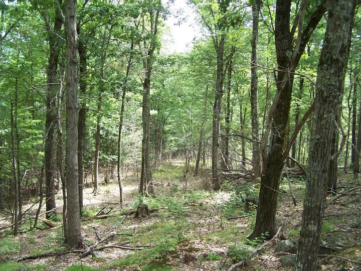 Property Photo: 00 Nh Rt 149 NH 03281