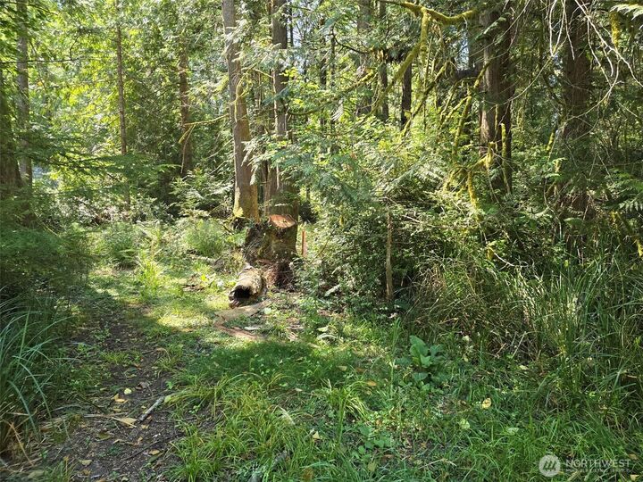 Property Photo:  100 E Liberty Road  WA 98584 