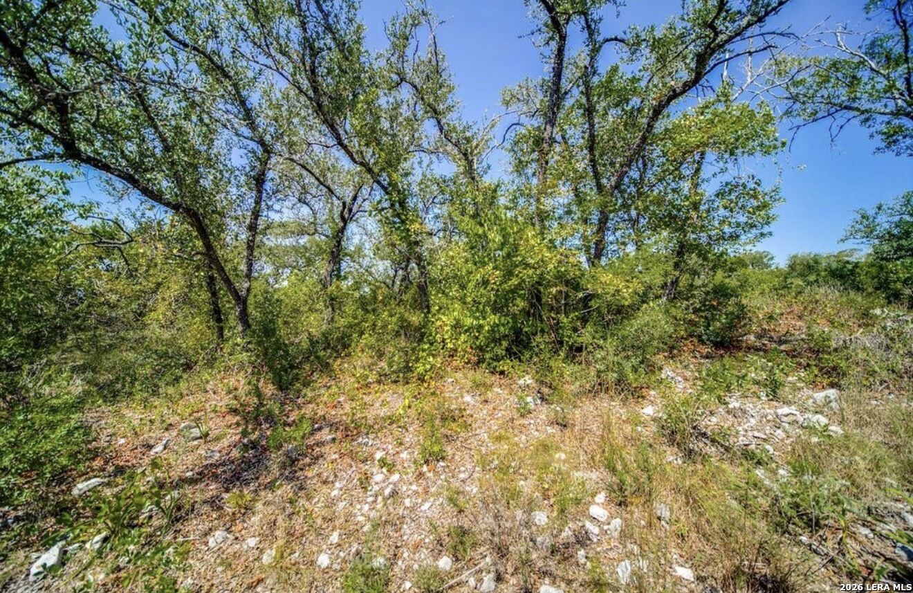 Property Photo:  10026 Ivory Cyn  TX 78255 