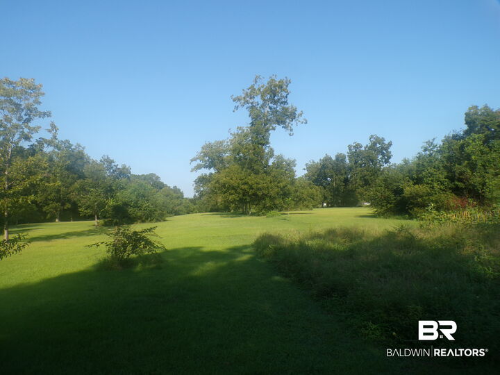 Property Photo:  0 Cater Lee Way  AL  