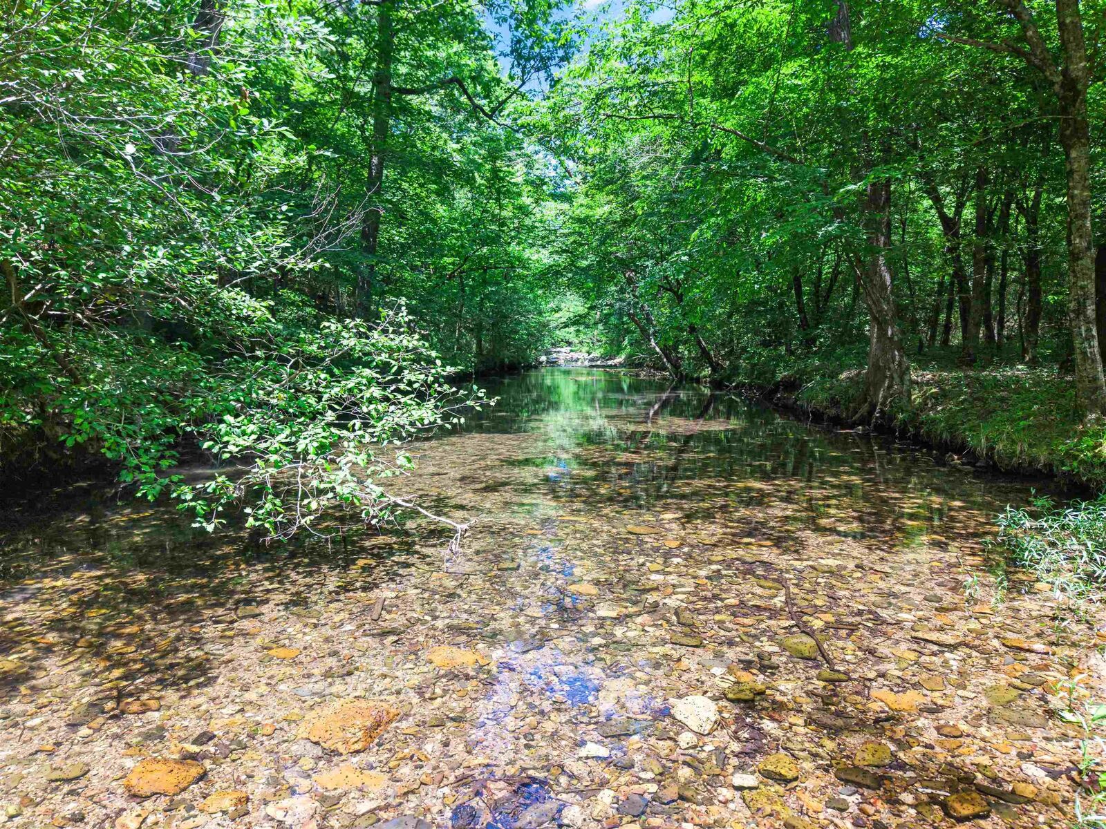 Property Photo:  27 Duggan Road  AR 71943 