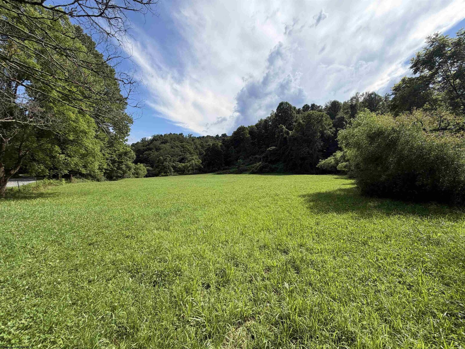 Property Photo: Tbd Hog Camp Road WV 26378