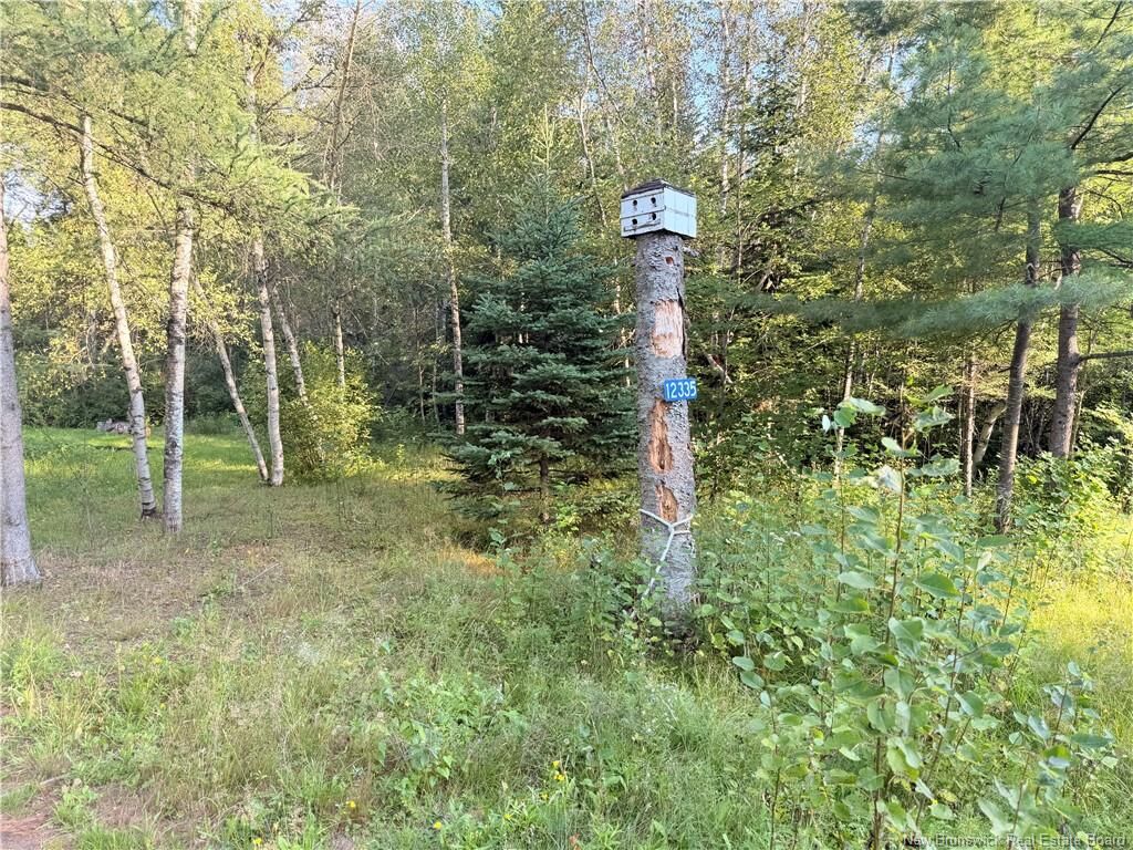 Property Photo:  12335 Rte 126  NB E4Y 2T6 