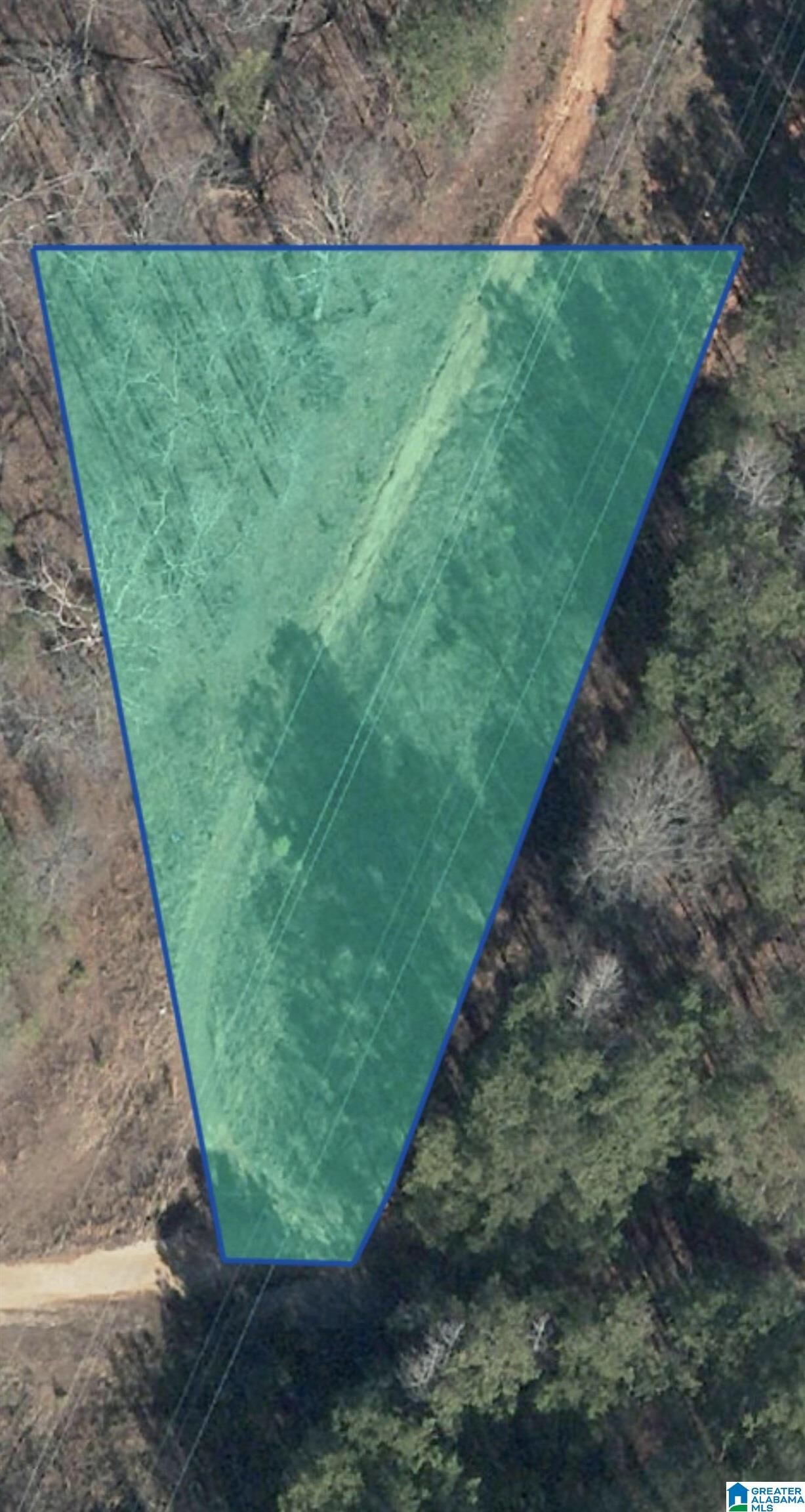 Property Photo:  Twin Pines Drive 0  AL 35014 