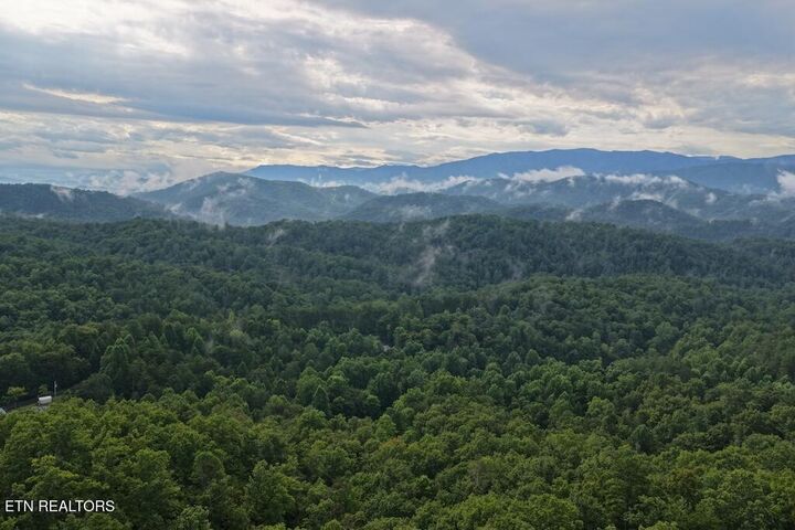 Property Photo:  Lot 27 Shady Oaks Way  TN 37876 