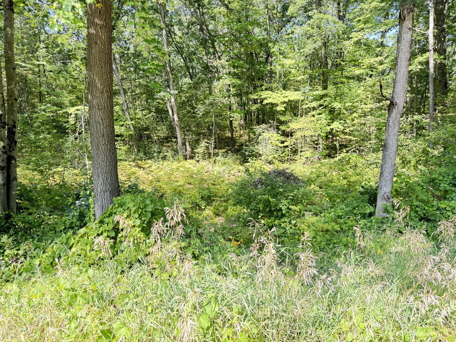 Property Photo:  8835 N Bingham Avenue  MI 49309 