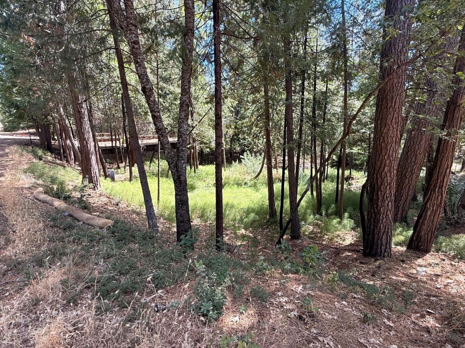 Property Photo:  558 Roan Way  CA 95224 