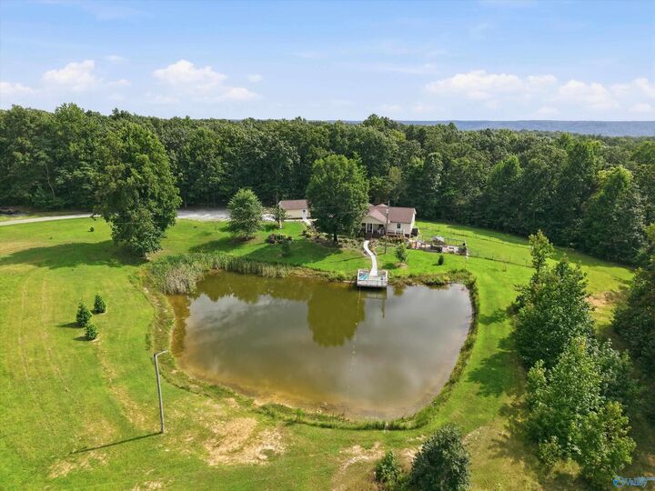 Property Photo:  1050 County Road 303  AL 35766 
