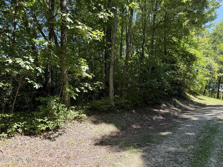 Property Photo: Lot 3 Amber Lane NC 28781
