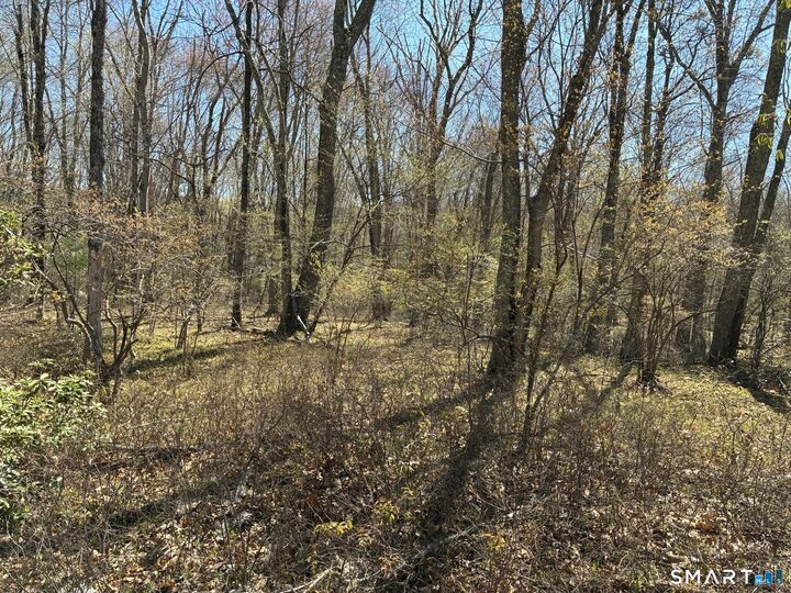 Property Photo: Madison Road CT 06422