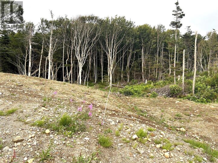 Property Photo:  Lot A Main Road  NL A0N 1T0 