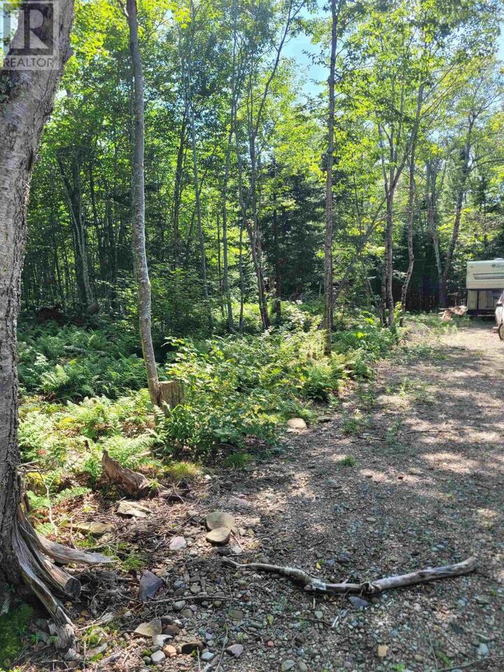 Property Photo:  No # Morrison Road  NS B1M 1B7 