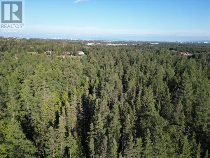 Property Photo:  272 Cambridge Street  ON P7G 1N3 