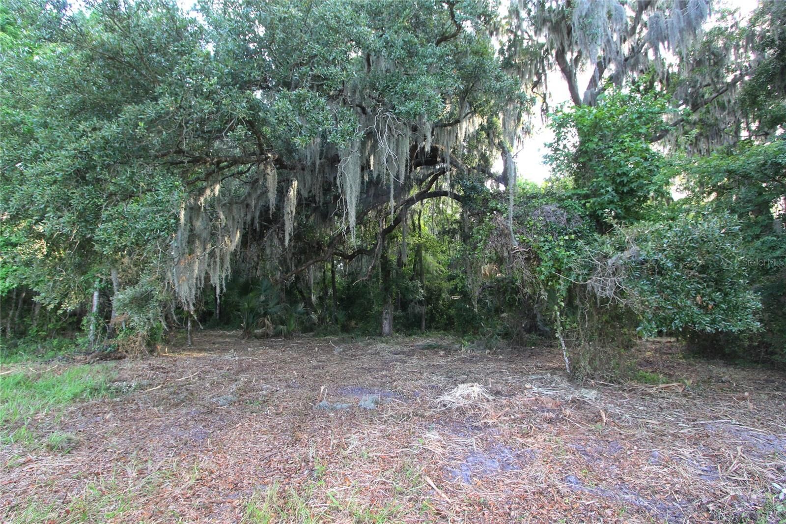 Property Photo: Tbd Cr 526 FL 33585