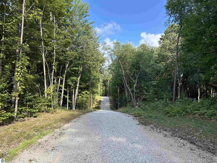 Property Photo: Emmetts Trail MI 49650