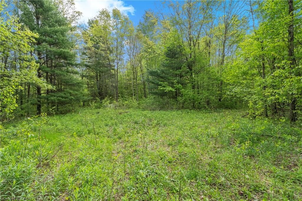 Property Photo:  372 Highway 24  ON N3T 5L5 