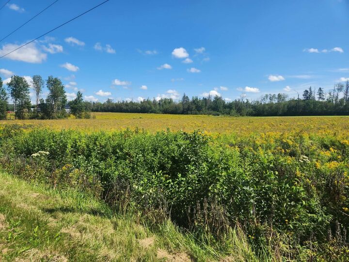 Property Photo: Acreage Lorne Valley Road PE C0A 1G0