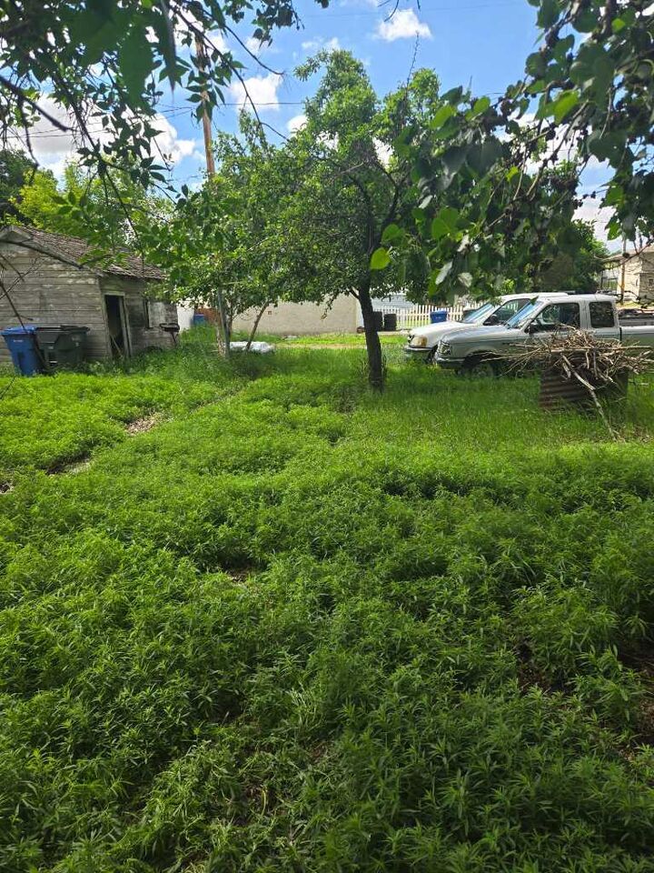 Property Photo:  377 2 Street NW  AB T1A 6J7 