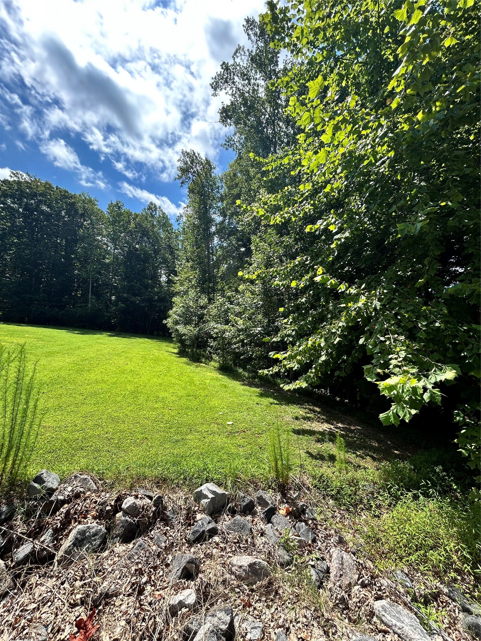 Property Photo: 170 Forest Heights Road VA 23188