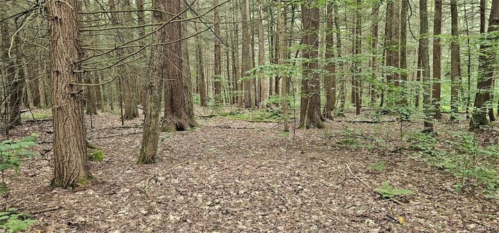 Property Photo:  Union Hill Road  NY 13743 