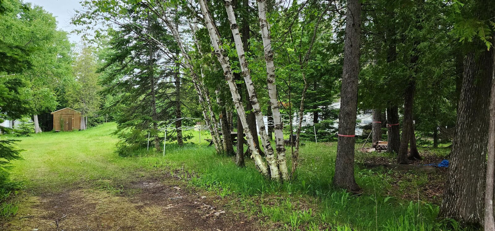 Property Photo:  26928 Point Aux Frenes Rd  MI 49736 