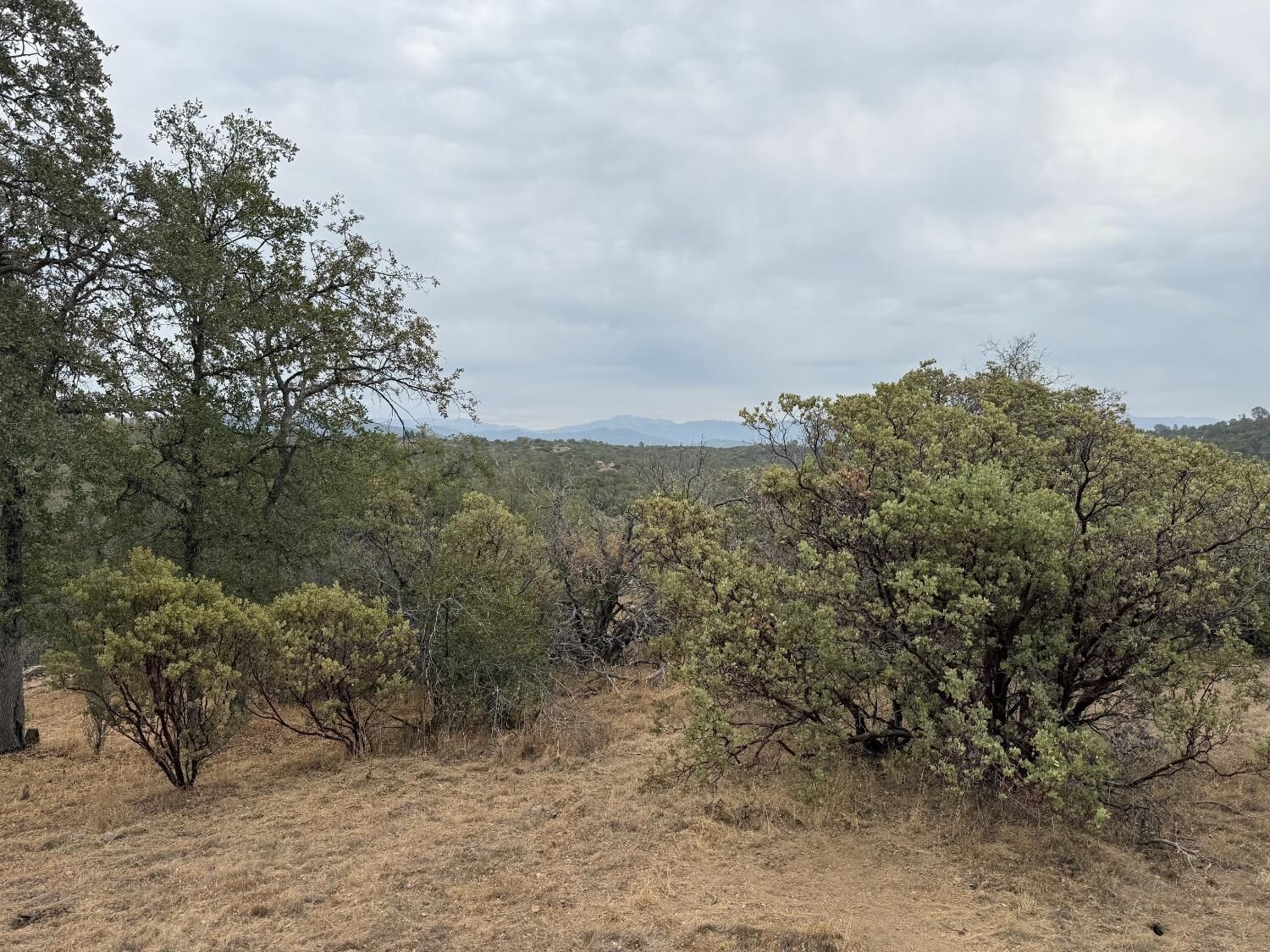 Property Photo:  0 Flying O Ranch Rd.  CA 93645 