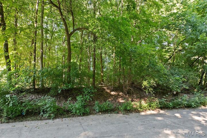 Property Photo:  1013 Berry Lane  IL 62025 