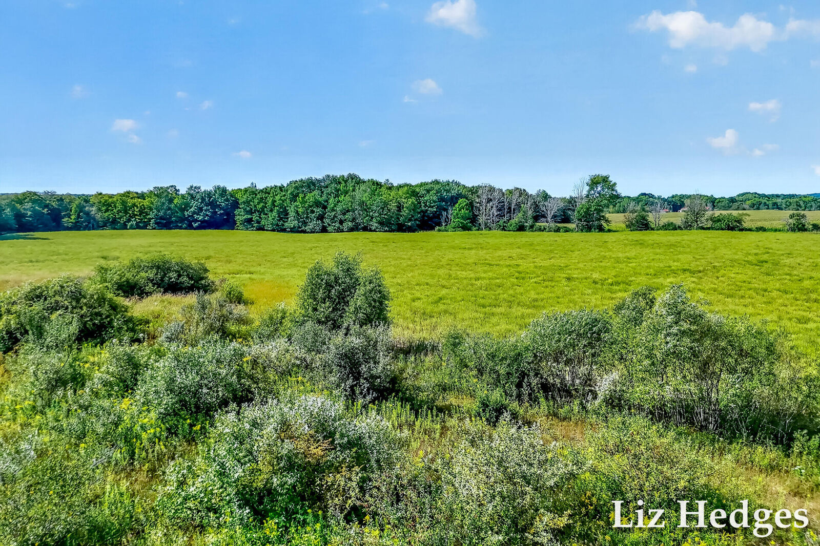 Property Photo: Vl S 56th Avenue MI 49437