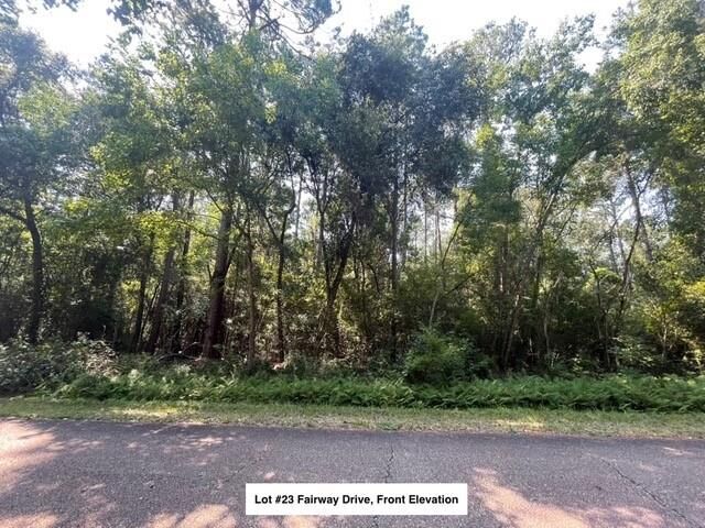 Property Photo:  Lot #23 Fairway Drive  LA 70420 