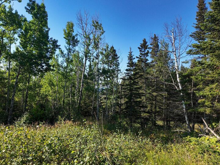 Property Photo: Xxx Casper's Hill Road MN 55604