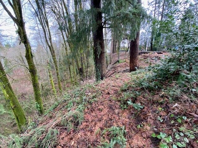 Property Photo:  132 &129  Linda Street SE  WA 98501 