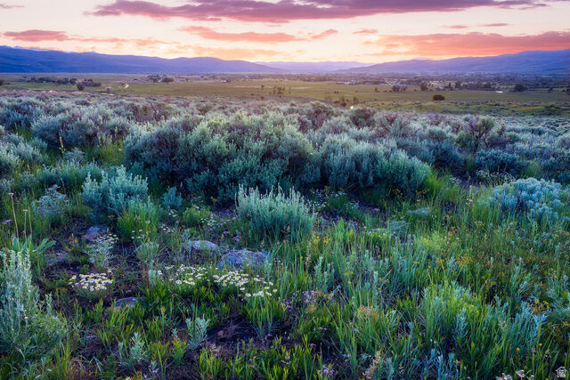 Property Photo:  995 E Hoyt Peak Ranch Rd 3  UT 84036 
