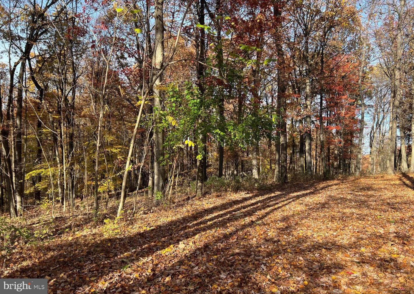 Property Photo: 0 N Hill Church Road PA 17036