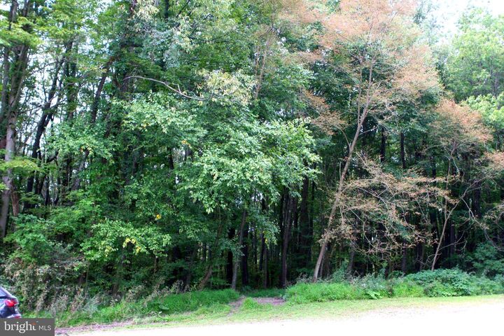 Property Photo: Lot 24 Moonlight Drive MD 21536
