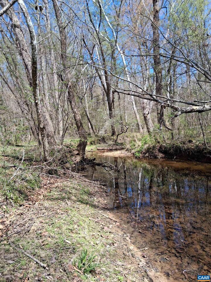 Property Photo: Lot 3 Ridge Rd VA 22963