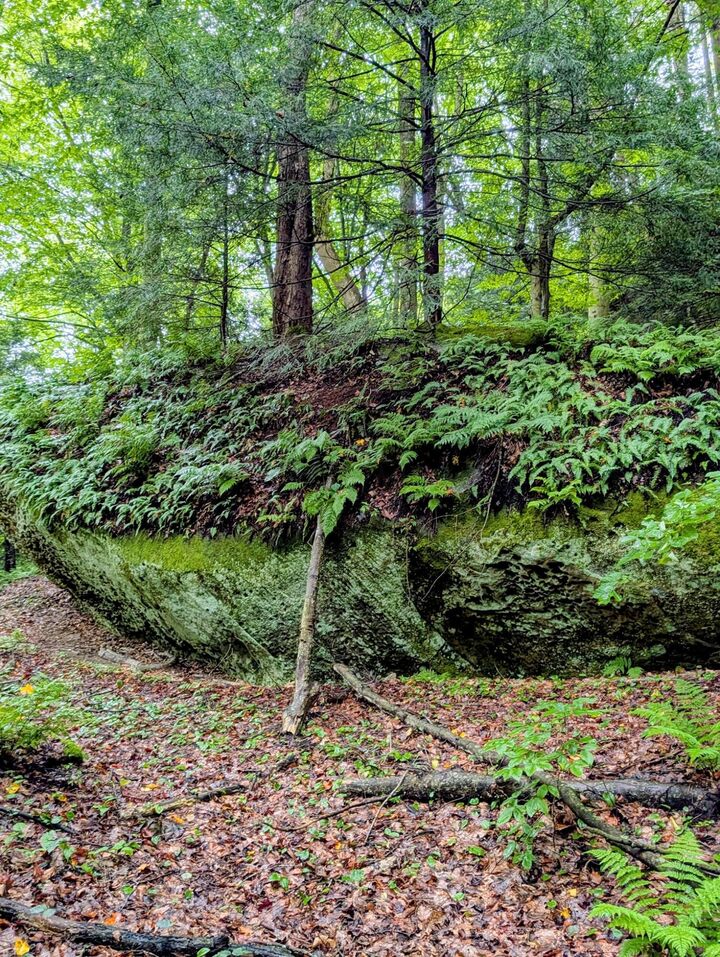 Property Photo: 24639 Ohio 180 OH 43149