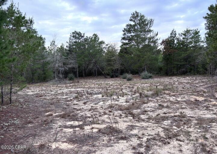 Property Photo:  00 Fairhaven Drive Lot 10  FL 32428 