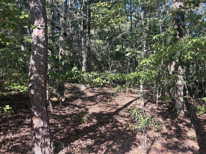 Property Photo: 0 Springer Road GA 30185