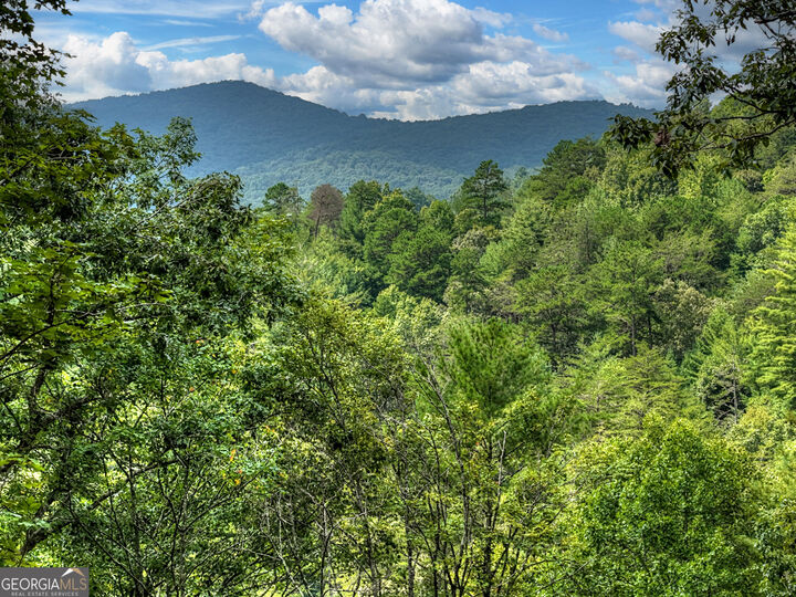 Property Photo: 1821 Stanley Creek Road GA 30522