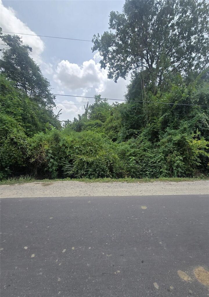 Property Photo: 0 Forest Trail Drive TX 77530